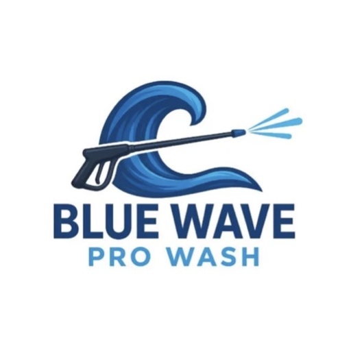 Blue Wave Pro Wash logo
